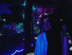 Hutan Mycelia: Wisata Alam dan Edukasi di Lembang, Bandung