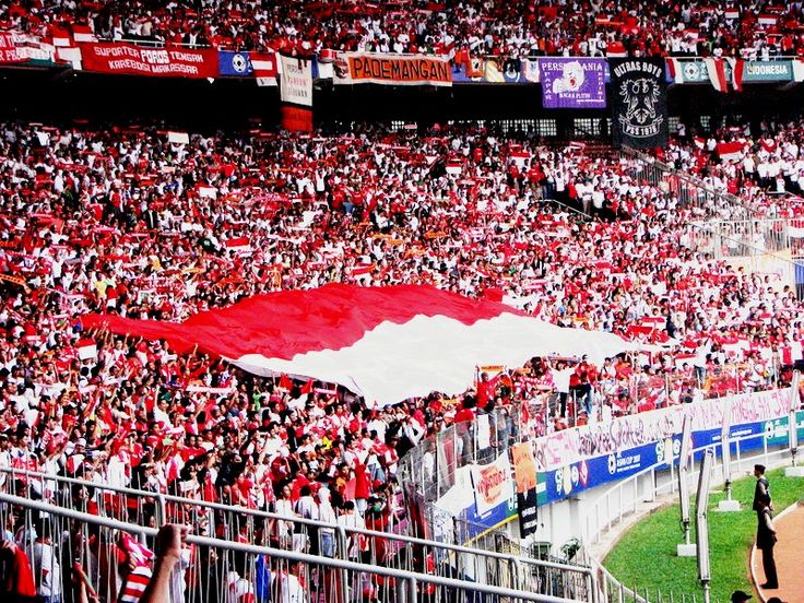 Suporter Timnas