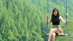 Dago Dreampark