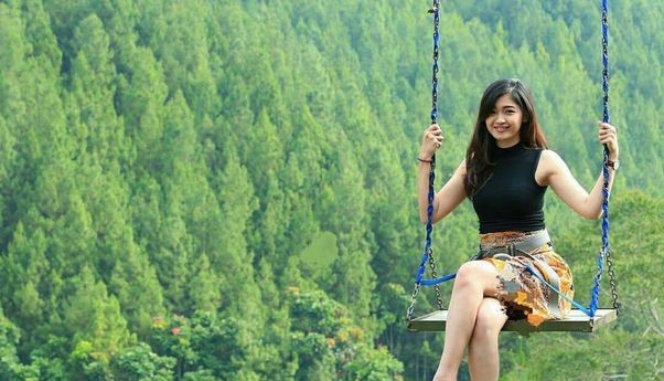 Dago Dreampark