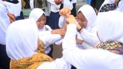 Paciwit-Ciwit Lutung