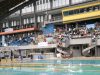Bandung Utama Open 2025, Panggung Prestasi Atlet Akuatik